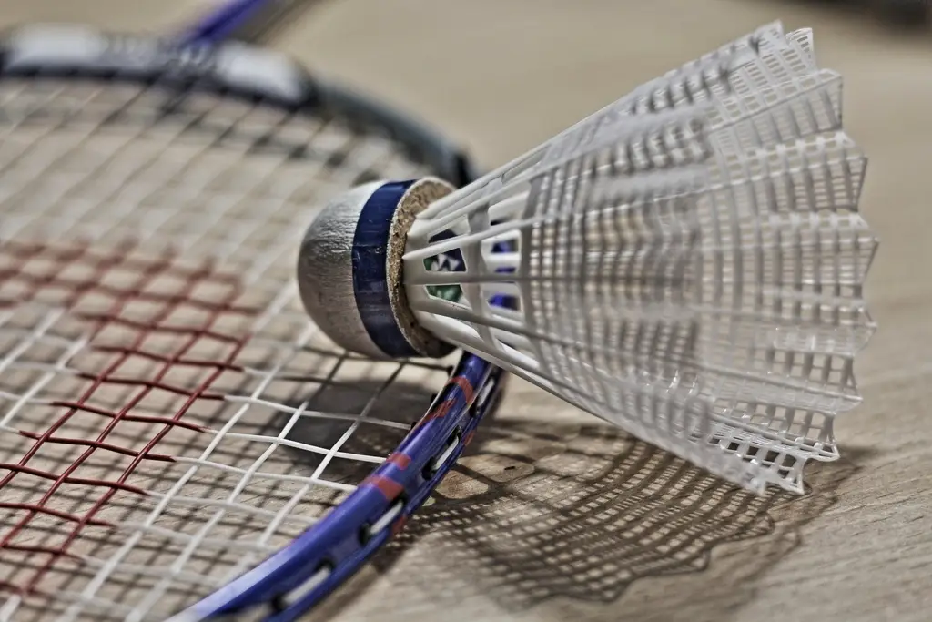Badminton equipment and essentials